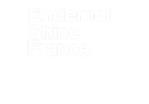 EndemolShine Group