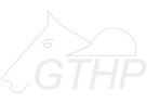 GTHP
